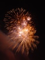 dsc01384.jpg