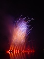 dsc01398.jpg