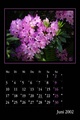 06juni.jpg