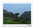 200406.jpg