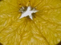dsc01745.jpg
