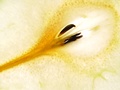 dsc01765.jpg