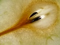 dsc01767.jpg