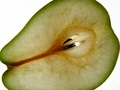 dsc01769.jpg
