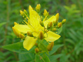 dsc02686.jpg
