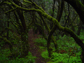 dsc02688.jpg