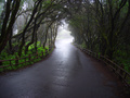 dsc02694.jpg