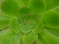 dsc02717.jpg