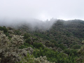 dsc02728.jpg
