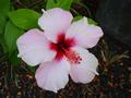 dsc01702.jpg