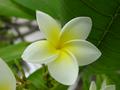 dsc01712.jpg