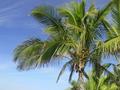 dsc01805.jpg