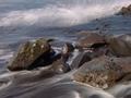 dsc01826.jpg