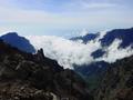dsc01891.jpg