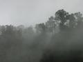dsc02116.jpg