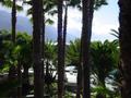 dsc02141.jpg