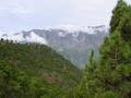dsc02235.jpg