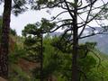 dsc02240.jpg