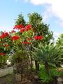 dsc02275.jpg