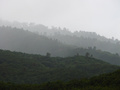 dsc06321.jpg