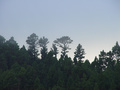 dsc06737.jpg