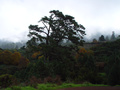 dsc07276.jpg