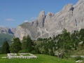 dsc00181.jpg