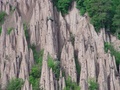 dsc00427.jpg