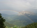 dsc00444.jpg