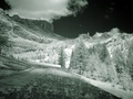 dsc00478.jpg