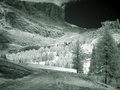 dsc00479.jpg