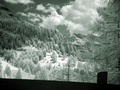 dsc00480.jpg