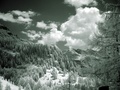 dsc00481.jpg