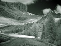 dsc00483.jpg
