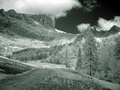 dsc00484.jpg