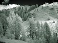 dsc00485.jpg