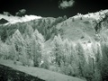 dsc00486.jpg