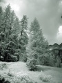 dsc00487.jpg