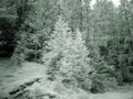 dsc00488.jpg