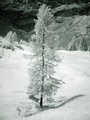 dsc00510.jpg