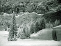 dsc00511.jpg