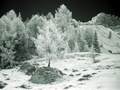 dsc00512.jpg