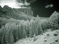 dsc00514.jpg