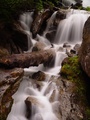 dsc00575.jpg