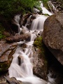 dsc00591.jpg