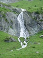 dsc00603.jpg