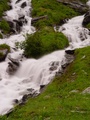 dsc00615.jpg