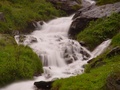 dsc00629.jpg
