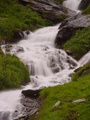 dsc00630.jpg