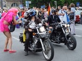 dsc00785.jpg
